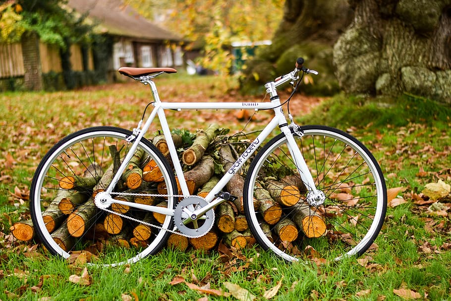 white, bicycle, pile, firewoods, green, grass, daytime, bike, woods, log