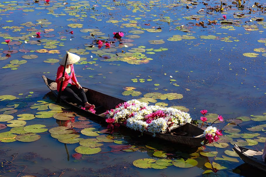 black wooden boat, vietnam, the boat, natural, wave, throat, flower, the leaves, paddle, ditch