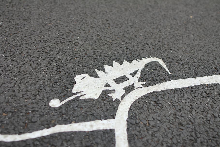 chameleon, drawing, asphalt road, paint, white, art, design, road, asphalt, street