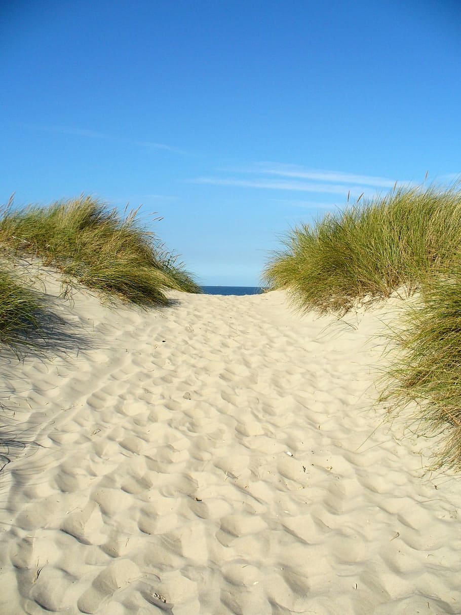 Duna, vacaciones, playa, Spiekeroog, isla frisia oriental, frisia oriental, mar del norte, arena, costa, agua