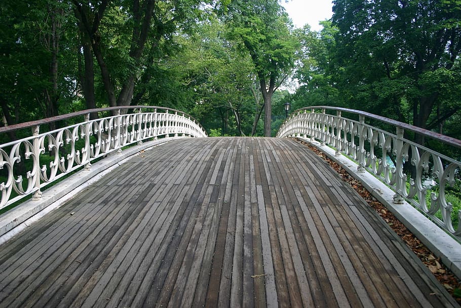 empty, white, wooden, bridge, daytime, wooden bridge, nyc, central park, manhattan, trees