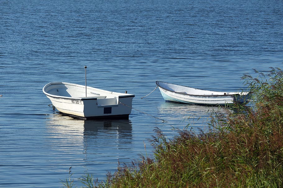 kapal, perahu dayung, air, danau, beristirahat, alam, pemandangan, teguran, musim panas, refleksi