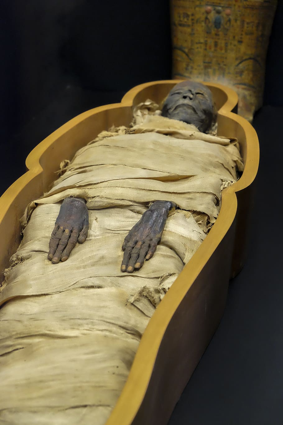 mummy in coffin, mummy, museum, egypt, vatican museum, food and drink, indoors, food, animal, vertebrate