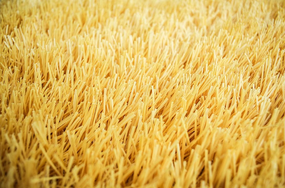 Yellow, Gold, Grass, Miscellaneous, yellow, gold, background, artificial, macro, agriculture, cereal plant