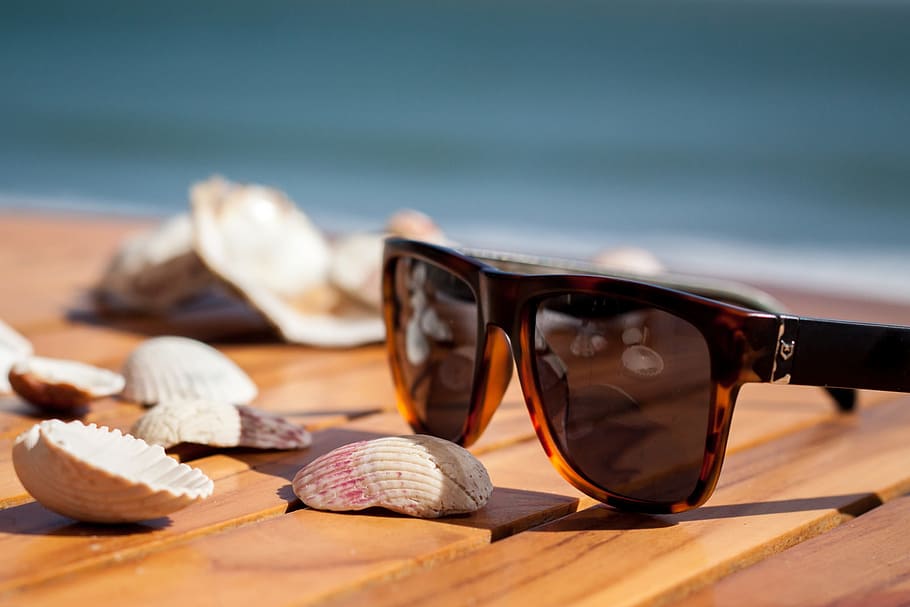 sentarse, mesa, al lado, conchas de mar, costa, gafas de sol, varios, vacaciones, viajes, playa
