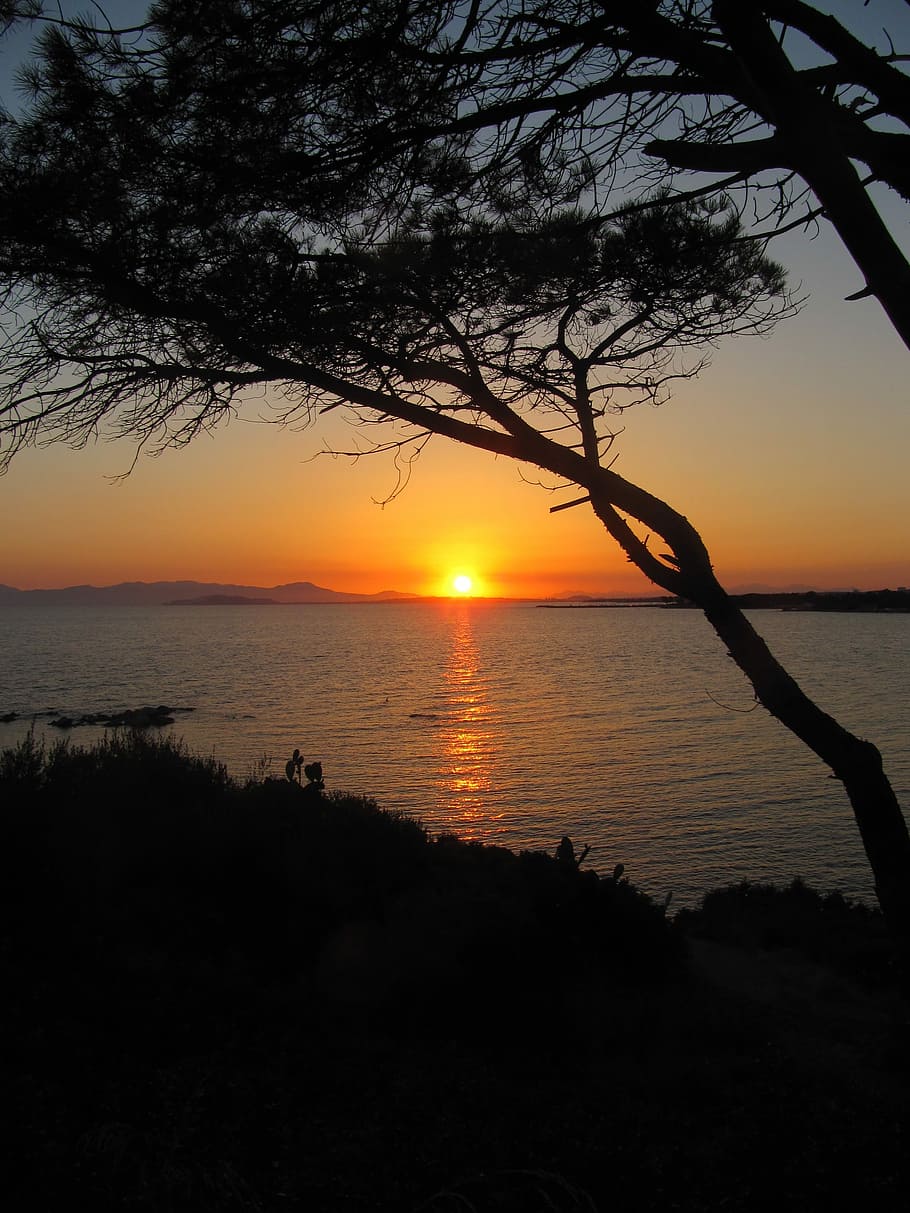 Sardinia, Laut, Matahari Terbenam, siluet, pemandangan, keindahan alam, pohon, alam, langit, scenics - alam