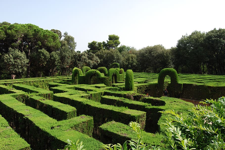 maze, green, labyrinth, hedge, schlossgarten, garden, baroque, sunny, get lost, plant