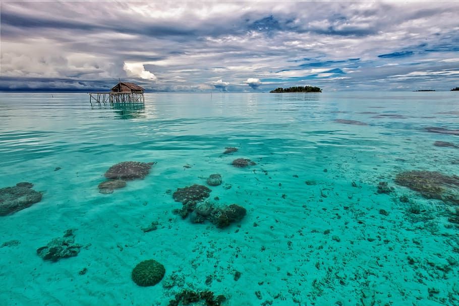 body, water, daytime, the shallow sea, turquoise, the water shed, john longa island, halma hera south, indonesia, turquoise colored