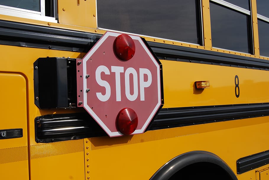 sinal de parada, ônibus, amarelo, ônibus escolar, transporte, modo de transporte, texto, ninguém, vermelho, veículo terrestre