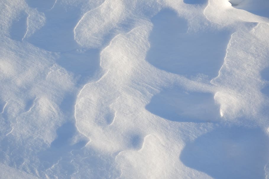 winter, field, snow, snow field, snowdrifts, relief, surface, snowflakes, reserve, pure snow