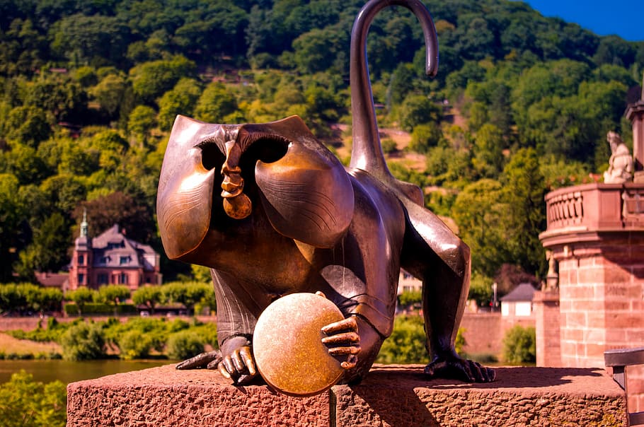 heidelberg, alemanha, arquitetura, cidade, mono, mamífero, temas animais, ninguém, bola, animais selvagens
