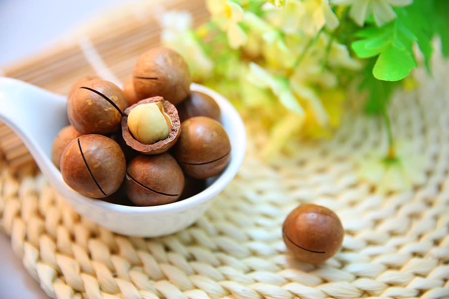 bunch, macadamia seeds, macadamia nuts, nut, protein, food, food and drink, bowl, healthy eating, fruit