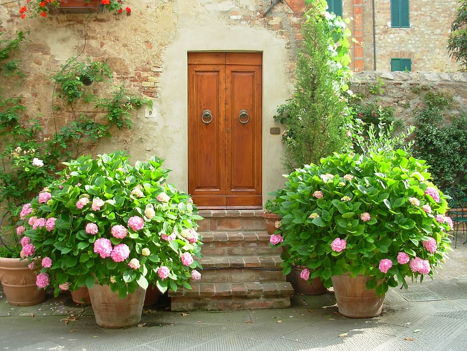 marrón, de madera, puerta, al lado, plantas, flores, durante el día, puerto, edificio, hortensia