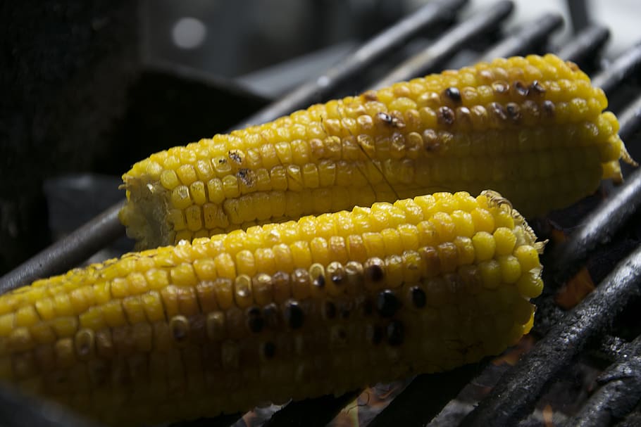 corn, on the grill, yellow, healthy, cook, nutrition, vegetable, food, food and drink, close-up