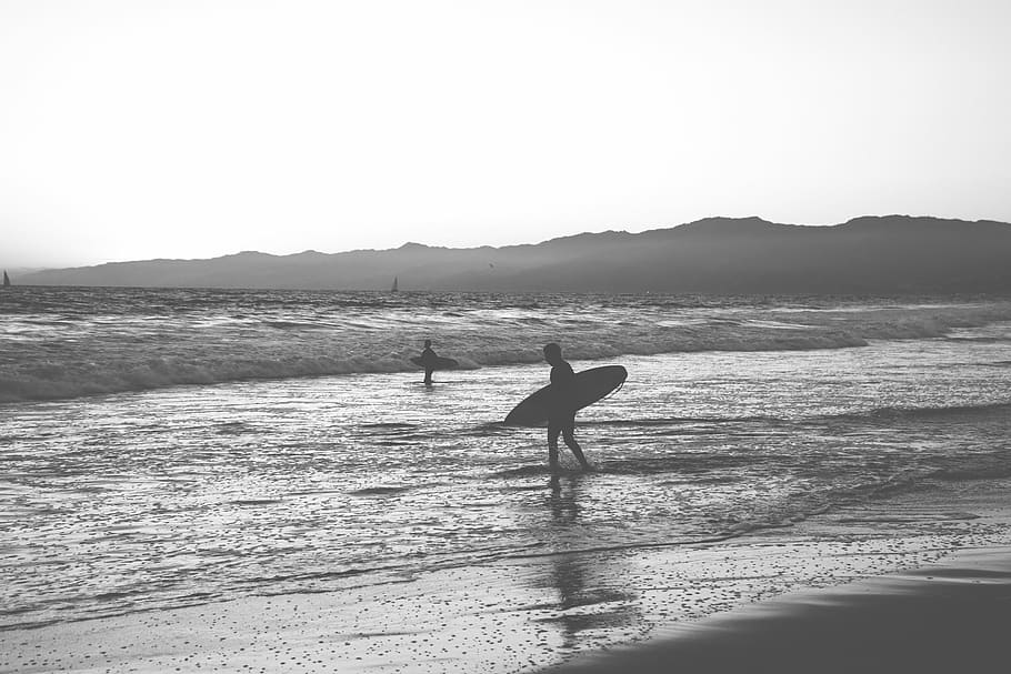два, люди, держа, доски для серфинга, пляж, человек, доска для серфинга, берег моря, оттенки серого, фото