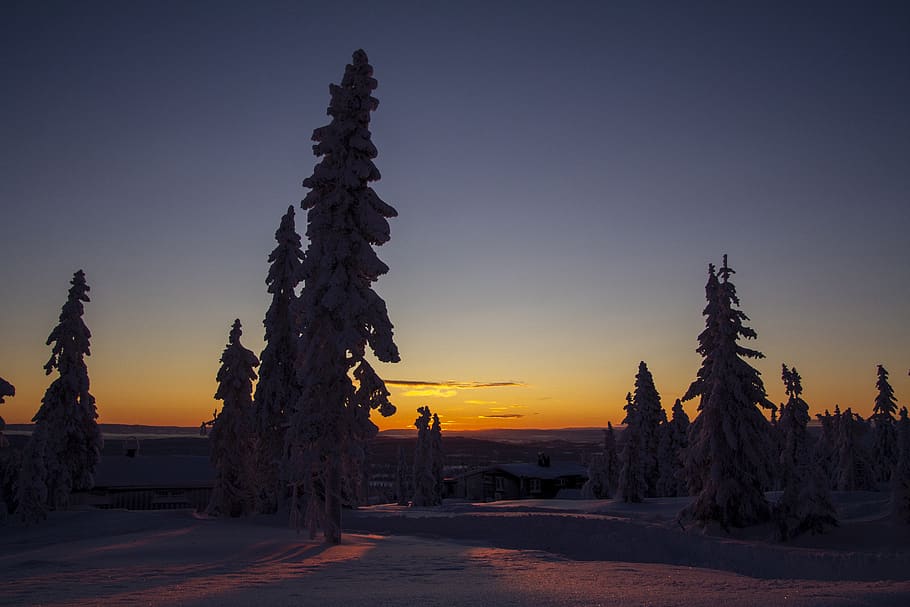 snow, sunset, landscape, winter, trees, nature, mountain, the nature of the, cold, wintry