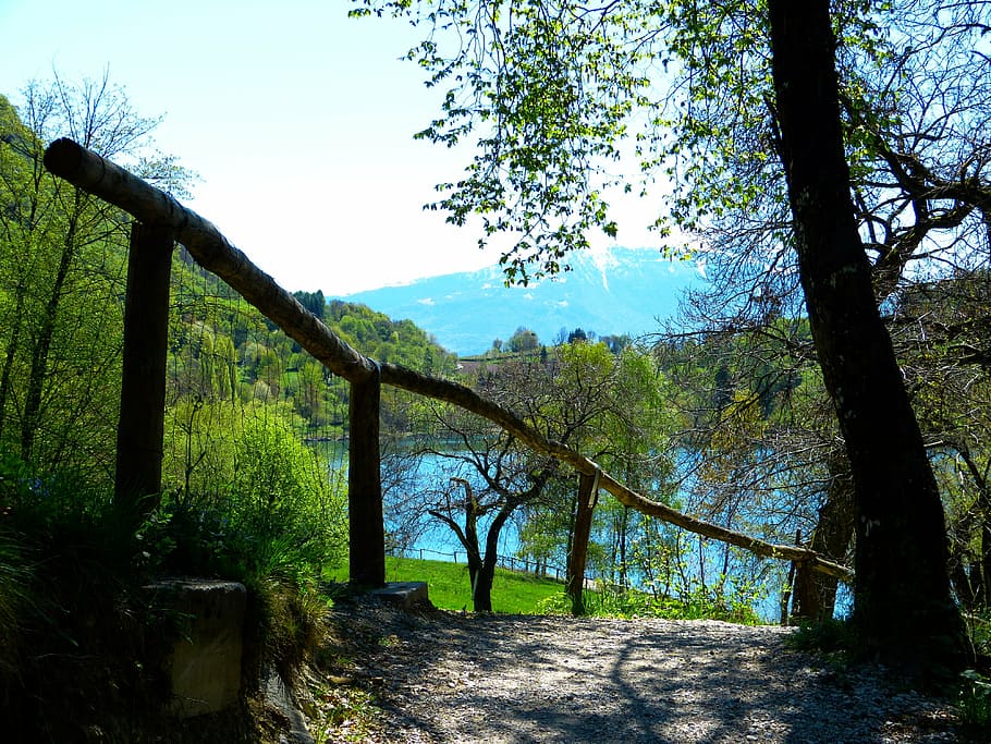 brown, wooden, handrail, tree, water, tenno lake, lago di tenno, italy, away, mountains