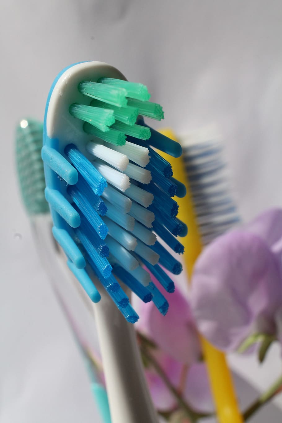 toothbrush, oral, dental, hygiene, blue, bristles, macro, close-up, multi colored, indoors