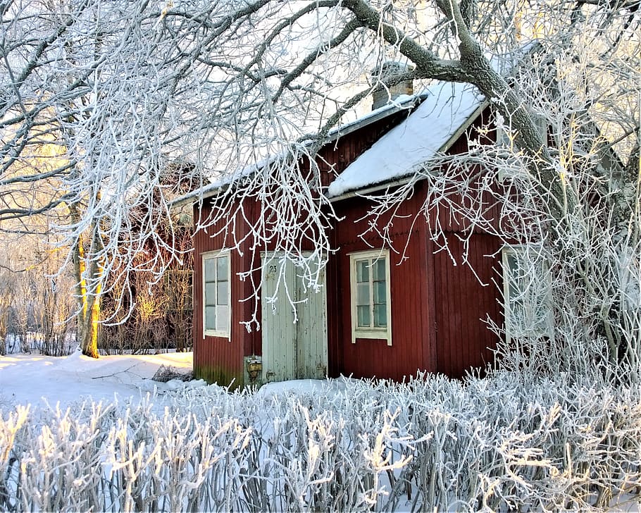 marrón, blanco, de madera, casa, durante el día, invierno, cabaña, nieve, cabaña roja, día de invierno