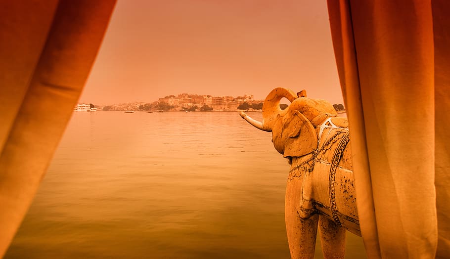 茶色, 象, 背後, カーテン, 向き, 丘, ジャグマンディール, インド, 堀のある城, 夜明け