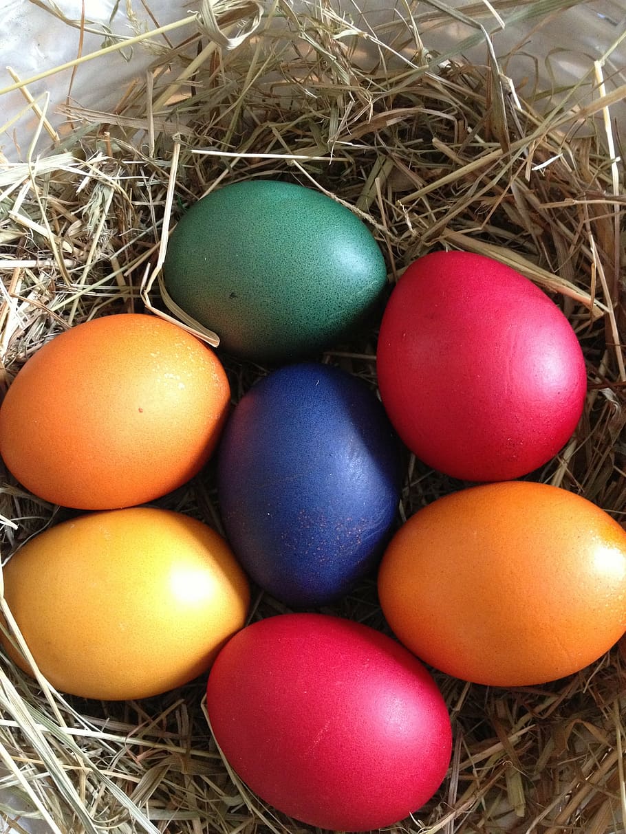 huevo, pascua, nido, huevo de pascua, huevo de color, color, pascua feliz, tema de pascua, saludo de pascua, colorido