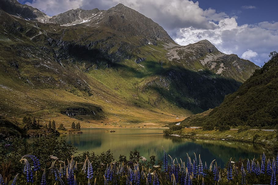 blue, lavender, flowers, lake, mountain, daytime, nature, zeinissee, vorarlberg, camping