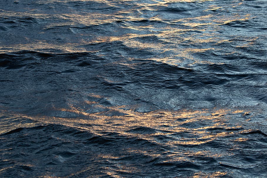 rippled, water, lake, waves, sunlight, reflections, current, drift, texture, nature