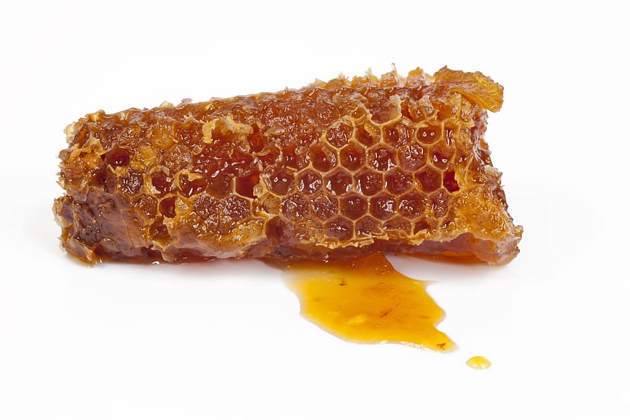 sisir madu, sarang madu, madu, lebah, alam, penyerbukan, pemeliharaan lebah, makro, segi enam, manis