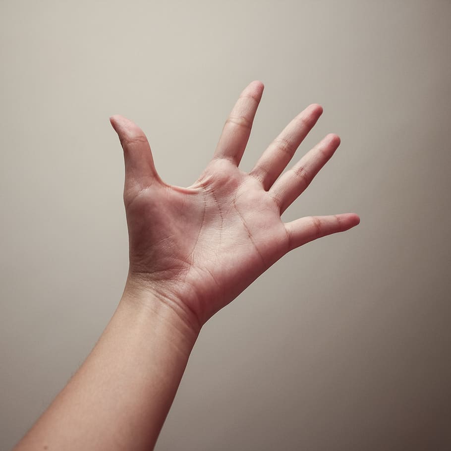 persona izquierda palma, mano, fotografía, palma, dedo, mano humana, gesticulando, gente, mujeres, dedo humano