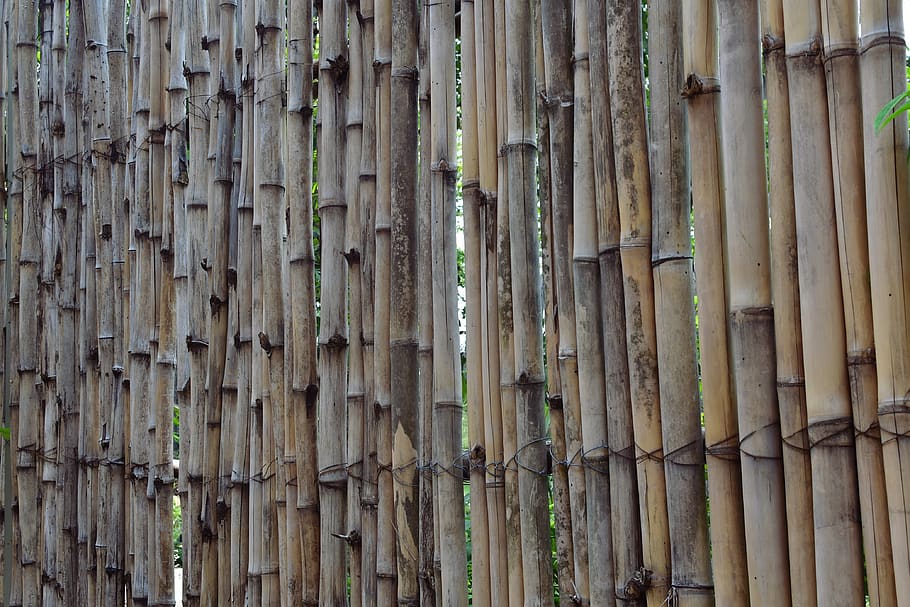 pagar bambu, pagar, tersegmentasi, dinding, alam, indonesia, pola, tekstur, outdoor, latar belakang