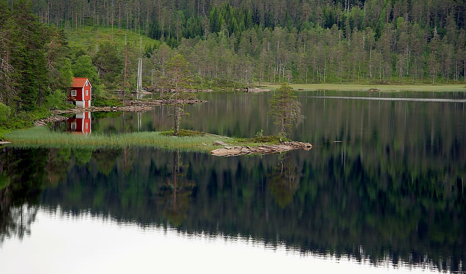 fotografía de paisaje, lago, bosque, rojo, blanco, casa, cerca, árboles, durante el día, naturaleza