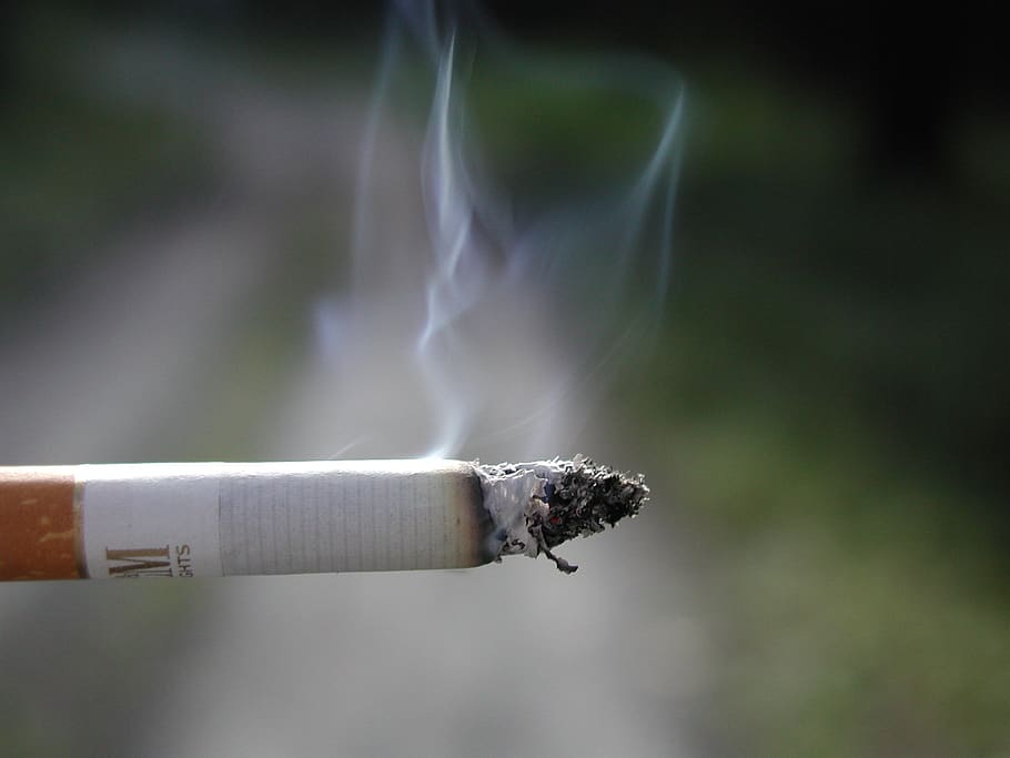 fumar, cigarro, câncer de pulmão, insalubre, fumo, tabaco, charuto, proibição de fumar, não fumar, fumaça - estrutura física