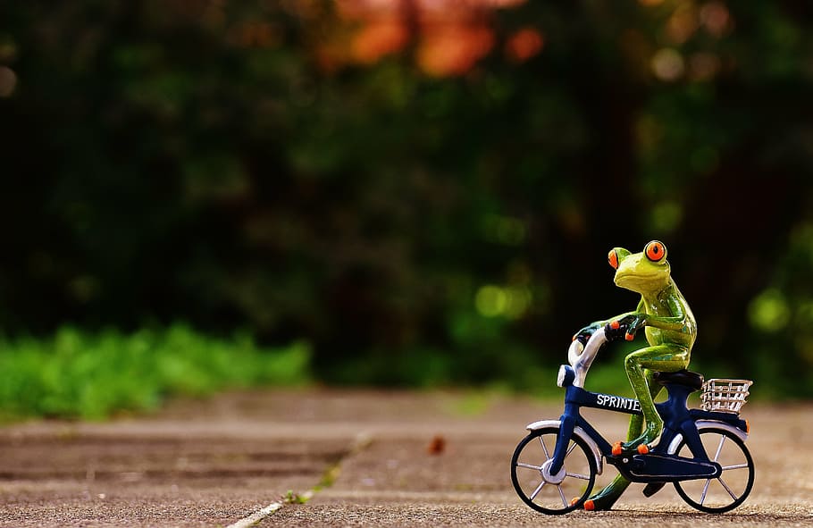 frog on bicycle, frog, bike, funny, cute, sweet, figure, drive, bicycle, animal