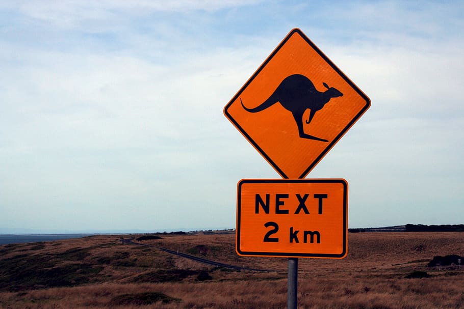 próximo, sinalização de 2 km, escudo, sinal de rua, aviso, austrália, canguru, sinal, estrada Sinal, sinal de aviso