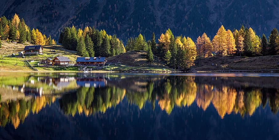hijau, pohon, tubuh, air, siang hari, dalam tauern schladminger, austria, alpine, styria, danau cermin