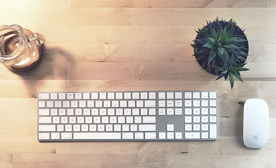 Apple Magic Keyboard, Apple Magic Mouse, suculento sobre escritorio de madera, mesa, planta, directamente encima, planta en maceta, madera - material, adentro, vista de ángulo alto