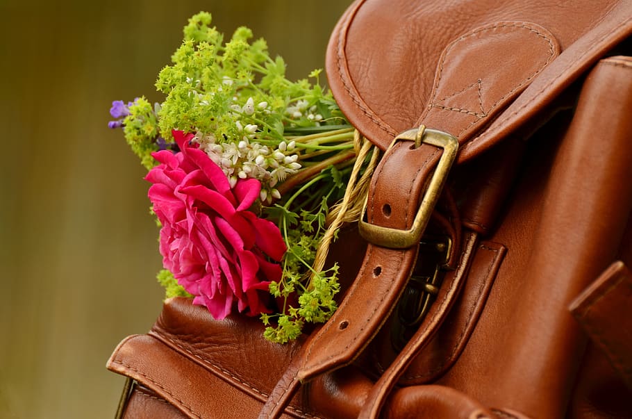red flower, backpack, brown leather, closure, buckle, leather seam, leather goods, bouquet, still life, rustic