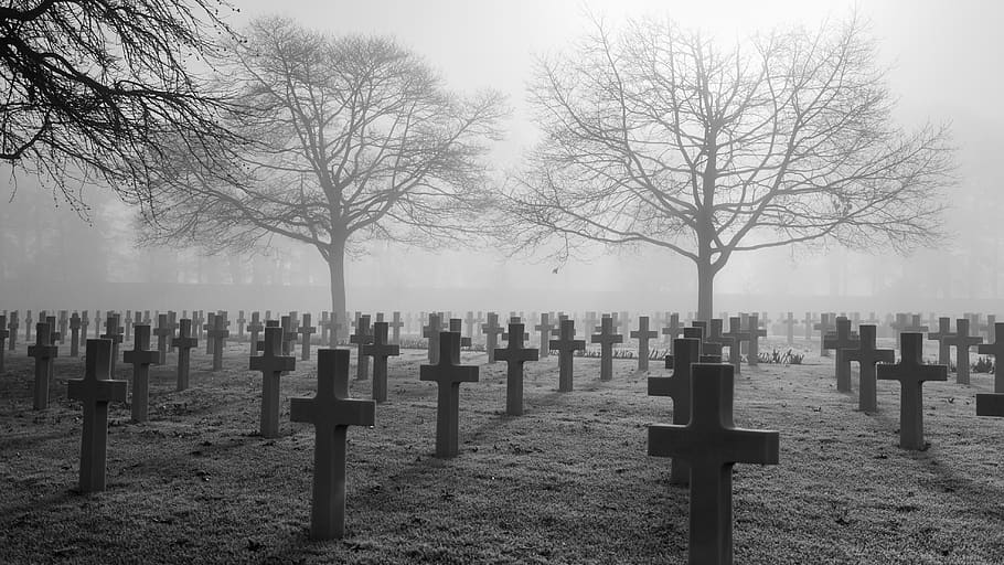 memorial de guerra, día de conmemoración, militar, cementerio, monumento, veterano, tumba, lápida sepulcral, cruz, niebla