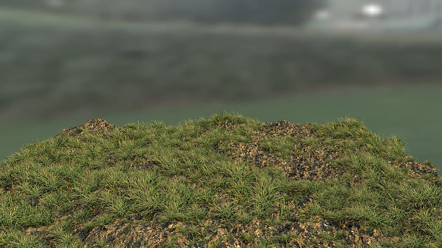 Grass, 3D, blender, 3d, nature, field, day, plant | Pxfuel