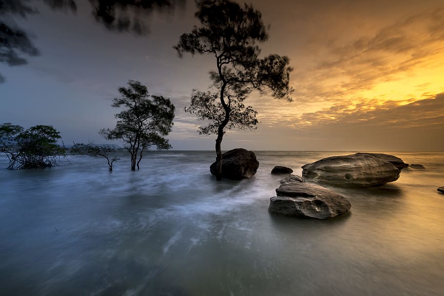 time-lapse photography, rocks, body, water, phu quoc, island, vietnam, trees, mangrove, sunset