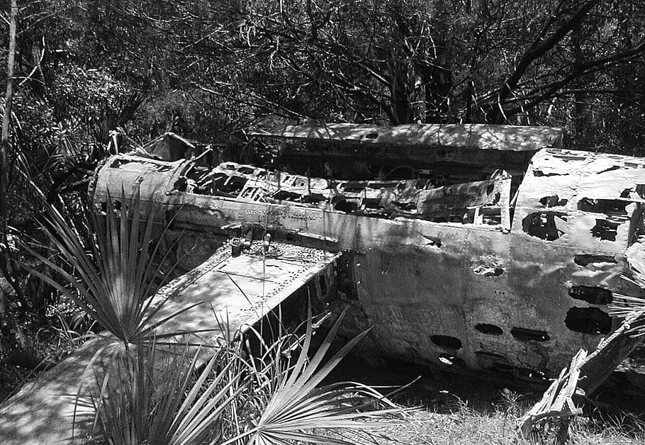Plane, Jet, Woods, Bomber, Old, River, old, river, water, 1943, island