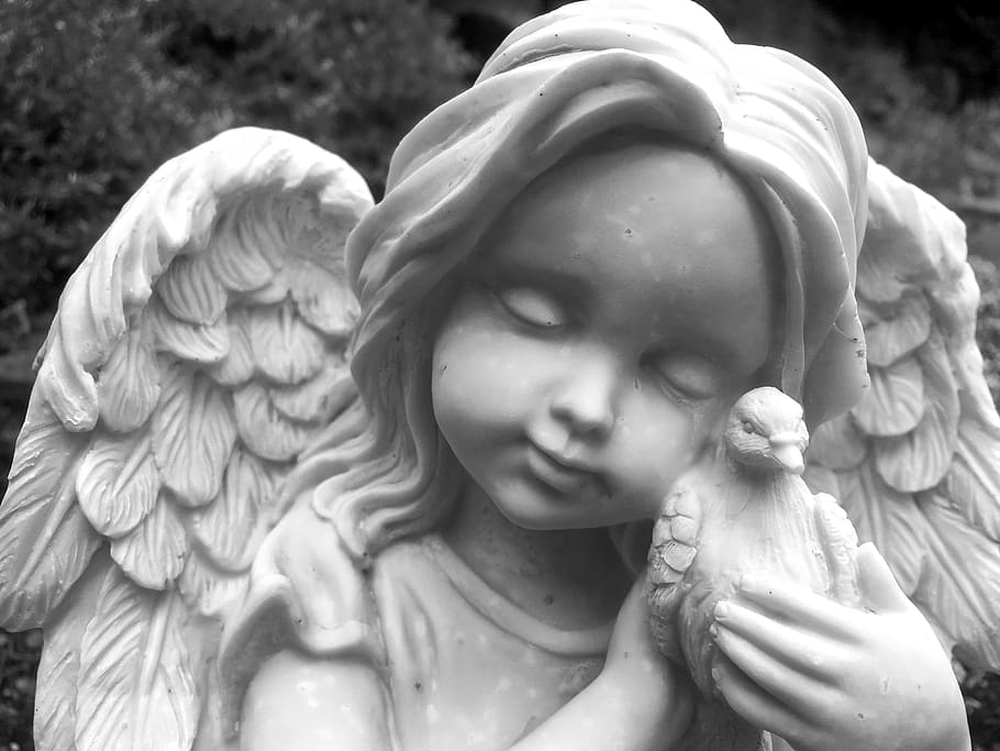 ángel, estatua, cara, niño, memorial, paloma, alas, arte y artesanía, escultura, representación humana