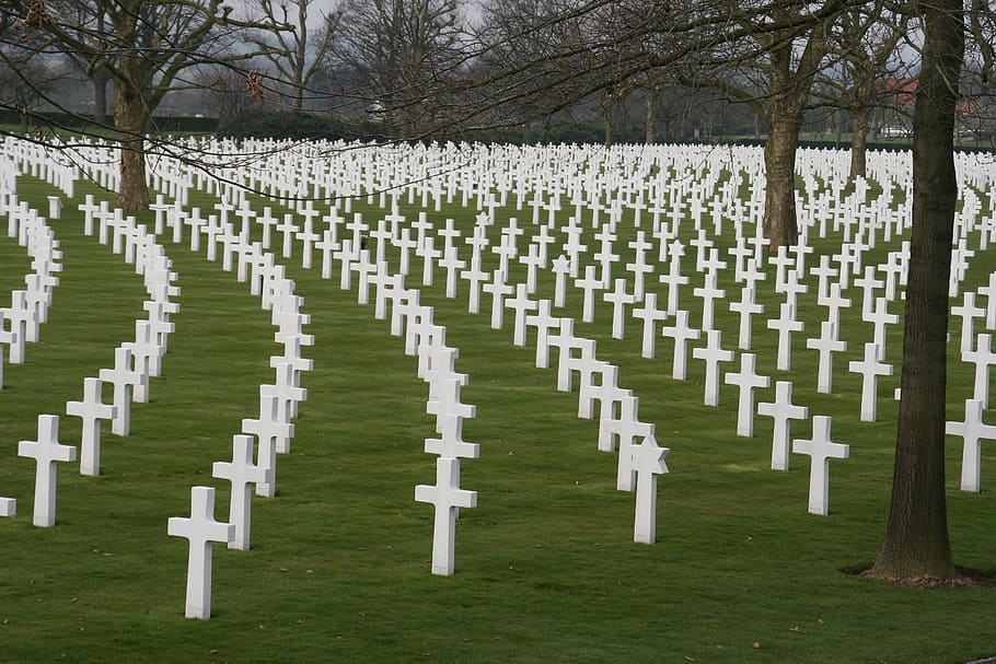 墓地, 墓, 墓石, 記念, 第二次世界大戦, クロス, 死, 戦争, アメリカ, 植物