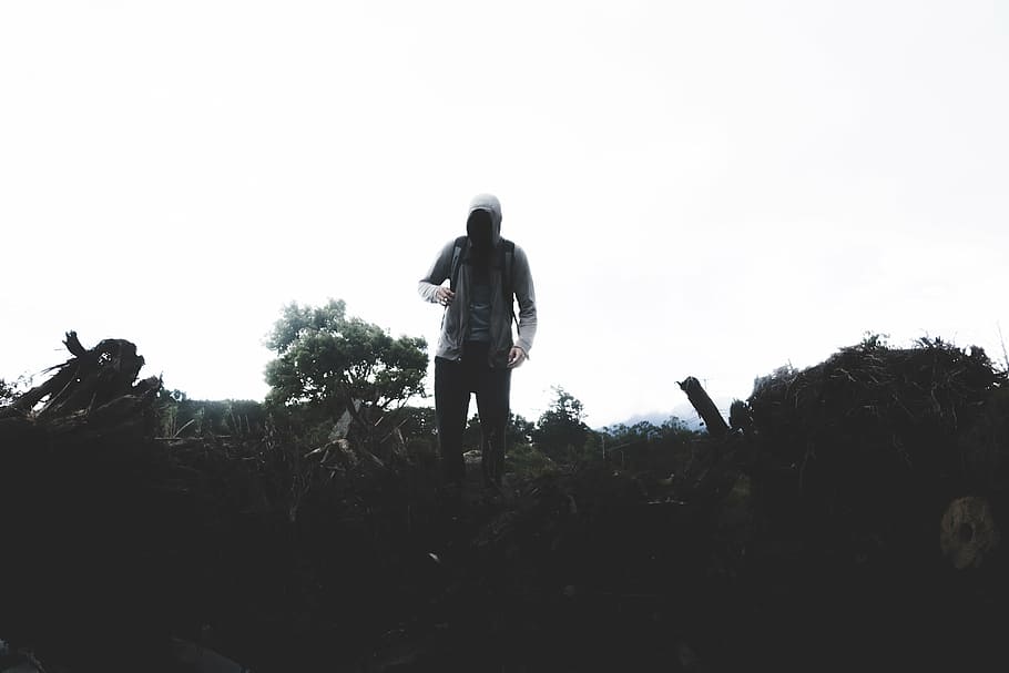 person, wearing, gray, zip-up hoodie, green, trees, plant, silhouette, people, man