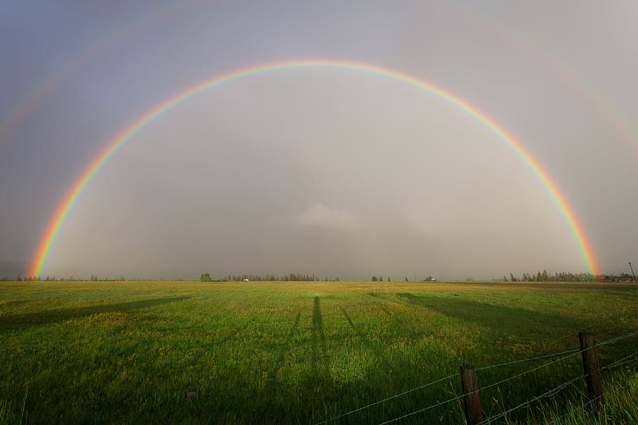 green, field, rainbow, photography, nature, landscape, plains, farm, grass, fences