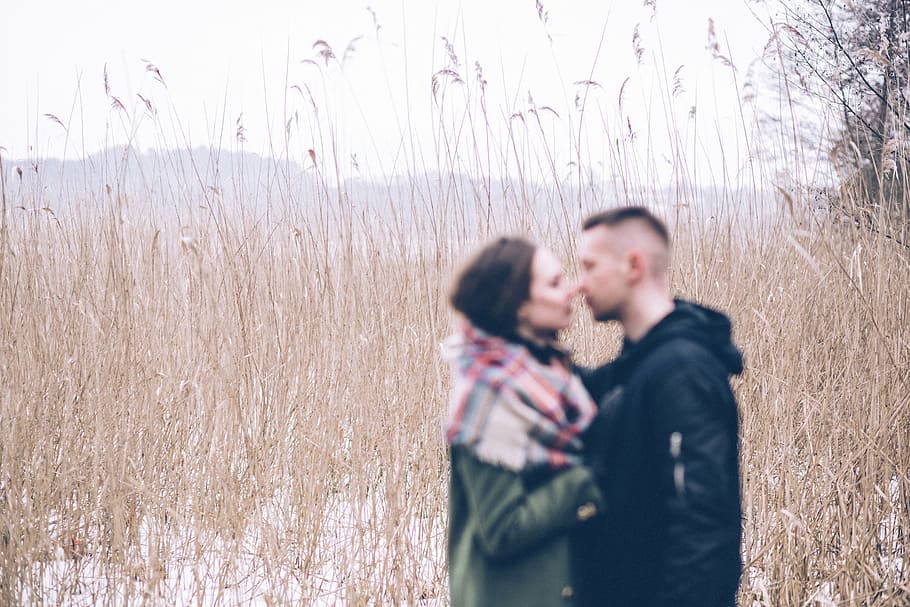 man, woman, looking, nature, grass, trees, people, love, couple, blur