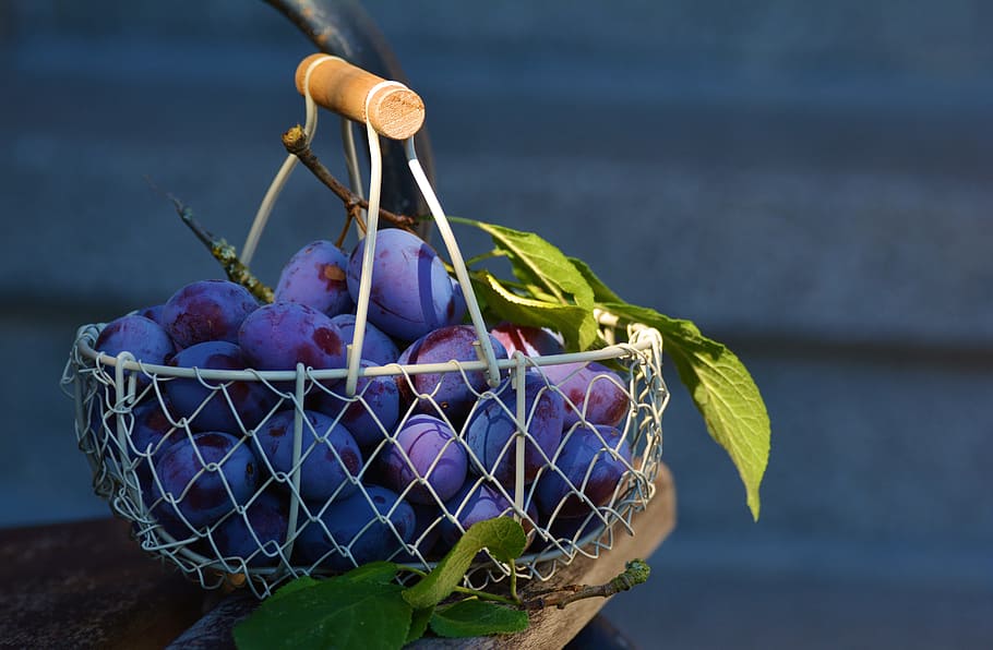 grapes, gray, metal basket, plums, fruit, fruit basket, blue, fruits, violet, plum