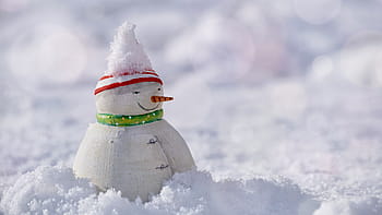 snow-man-snow-winter-cold-royalty-free-thumbnail.jpg