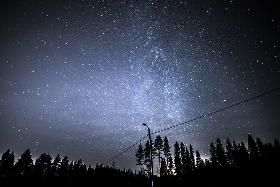 milkyway, estrellas, espacio, astronomía, estrella - espacio, cielo, árbol, noche, vista de ángulo bajo, belleza en la naturaleza