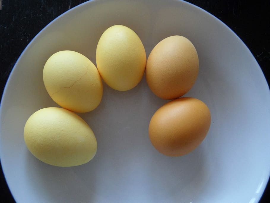 Easter Eggs, Colored, Yellow, egg, easter, color bath, food and drink, food, indoors, egg yolk